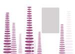 All-fern_2100x1500