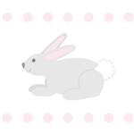 All-Bunny_1_75SqSt